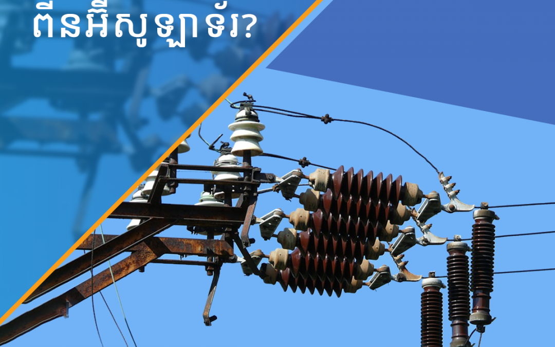 អ្វីទៅជាពីនអ៊ីសូឡាទ័រ?